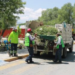 Incrementa Javier Díaz seguridad vial; delimita carriles en Colosio6