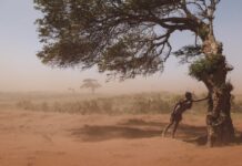 Las tormentas de arena y polvo siguen amenazando la salud y el medio ambiente