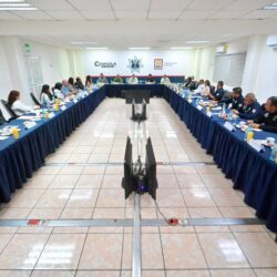 MARS se suma a estrategia estatal contra el maltrato y crueldad animal1