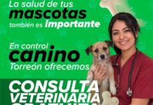 Ofrece control canino municipal consultas veterinarias gratuitas para perros y gatos