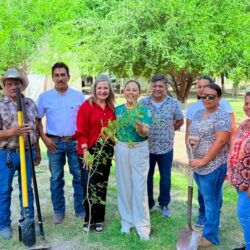 Plantan más de 100 mil árboles en los 38 municipios 3