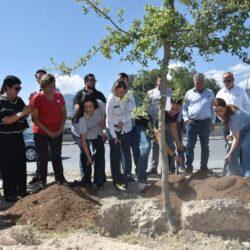 Plantan más de 100 mil árboles en los 38 municipios con la campaña1