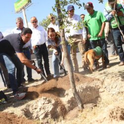 Plantan más de 100 mil árboles en los 38 municipios con la campaña5