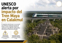 Preocupa a Unesco impacto de Tren Maya