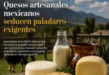 Quesos artesanales mexicanos seducen paladares exigentes