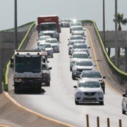 Refuerza Javier Díaz González reforestación en vialidades de Saltillo2