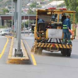 Refuerza Javier Díaz González reforestación en vialidades de Saltillo5
