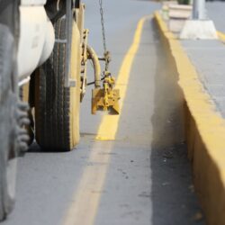 Refuerza Javier Díaz González reforestación en vialidades de Saltillo6