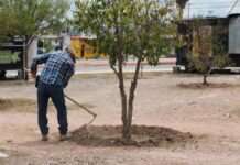 Refuerza Javier Díaz acciones preventivas para proteger áreas verdes