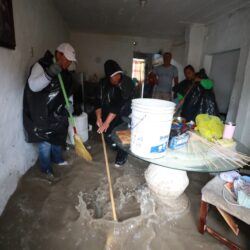 SUPERVISA 8