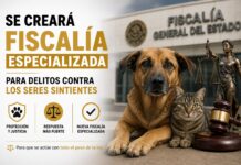 Se creará Fiscalía especializada para delitos contra los seres sintientes