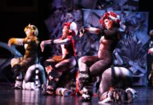 Un éxito Cats y película El Desaire en el FINA 2026