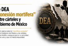 Ve DEA “conexión mortífera” entre cárteles y Gobierno de México