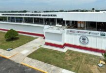 Analiza México producir nueva mosca contra barrenador