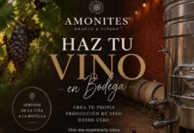 Bodega Amonites invita a descubrir los secretos de la elaboración del vino