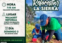 Busca Saltillo Ecológico plantar más de 10 mil árboles en Sierra de Arteaga para su reforestación