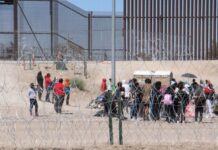 Cae cifra de detenciones de migrantes irregulares en México