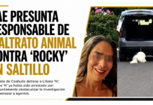 Cae presunta responsable de maltrato animal contra “Rocky” en Saltillo