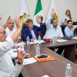 consejo municipal 2