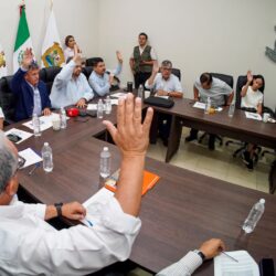 consejo municipal 4
