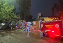 Dependencias municipales de Torreón atienden afectaciones derivadas por lluvias