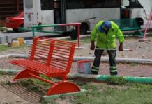 Embellece Javier Díaz plaza pública en la Amistad