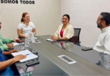 Gobierno de Arteaga fortalece coordinación con CONAFOR y Amigos de la Sierra para el saneamiento forestal