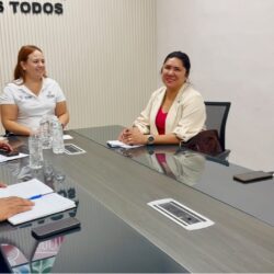 gobierno de arteaga
