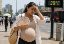 La exposición al calor durante el embarazo podría afectar el desarrollo cerebral infantil, advierte un estudio