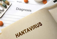 La OMS declara el fin del brote de hantavirus