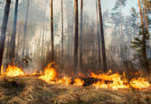 Las alarmas del cambio climático suenan en España, Francia y el resto del mundo