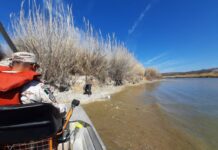 Incremento en el caudal del Río Bravo frente a Piedras Negras; autoridades mantienen monitoreo permanente