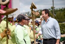 Realizamos permanente labor de reforestación encaminada a mejorar el medio ambiente: Javier Díaz
