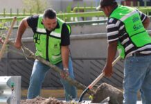 Reforesta Ayuntamiento áreas verdes y refuerza limpieza de vialidades
