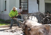 Refuerza Javier Díaz atención integral tras recientes lluvias