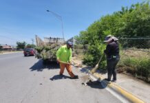 Refuerza Javier Díaz limpieza profunda en arroyo Del Cuatro