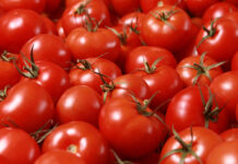 Se mantiene arancel al tomate