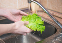 Se retracta FDA por Cyclospora en lechuga mexicana; pesquisa sigue