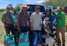 Suman esfuerzos Municipio de Saltillo y rescatistas por el bienestar animal