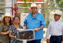 Supera Ramos Arizpe las 30 mil aves de traspatio entregadas