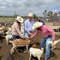 trabajan gusano barrenador saltillo