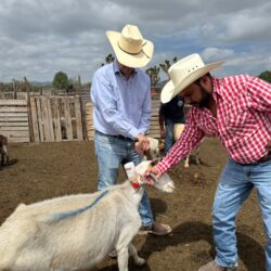 trabajan 2 gusano barrenador saltillo