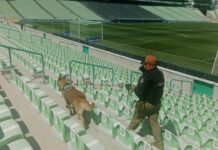 Unidad K9 de la DSPM consolida resultados en prevención, detección de narcóticos y proximidad social en Torreón