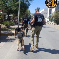 unidad 4