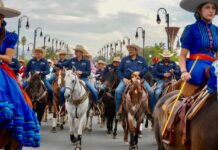 Más de 100 mil personas disfrutaron el Ramos Fest 2026