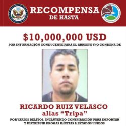 52de38a7-c05a-40b2-97d7-07101b3ed77a