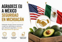 Agradece EU a México seguridad en Michoacán