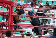 Se realiza con éxito exhibición de boxeo “Juventud por las Buenas”