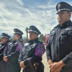 Atiende Comisaría cerca de 500 llamadas a través de la línea 800 VIOLETA2
