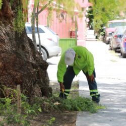Atiende Municipio plazas y jardines de la ciudad2